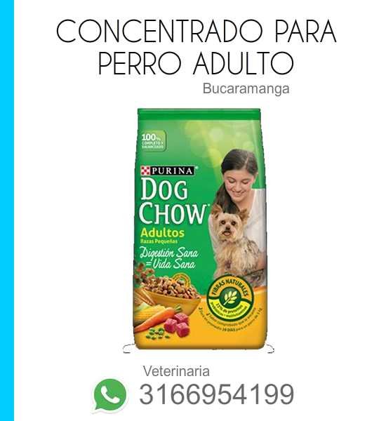 concentrado para perros